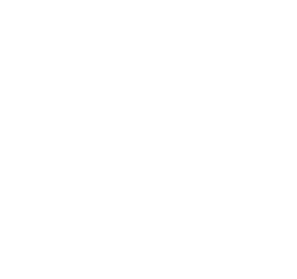 PDG Partinico